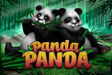 Panda Panda - Habanero